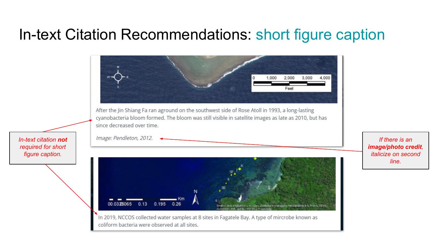 Page 14 – In-text Citation: Short Figure Caption